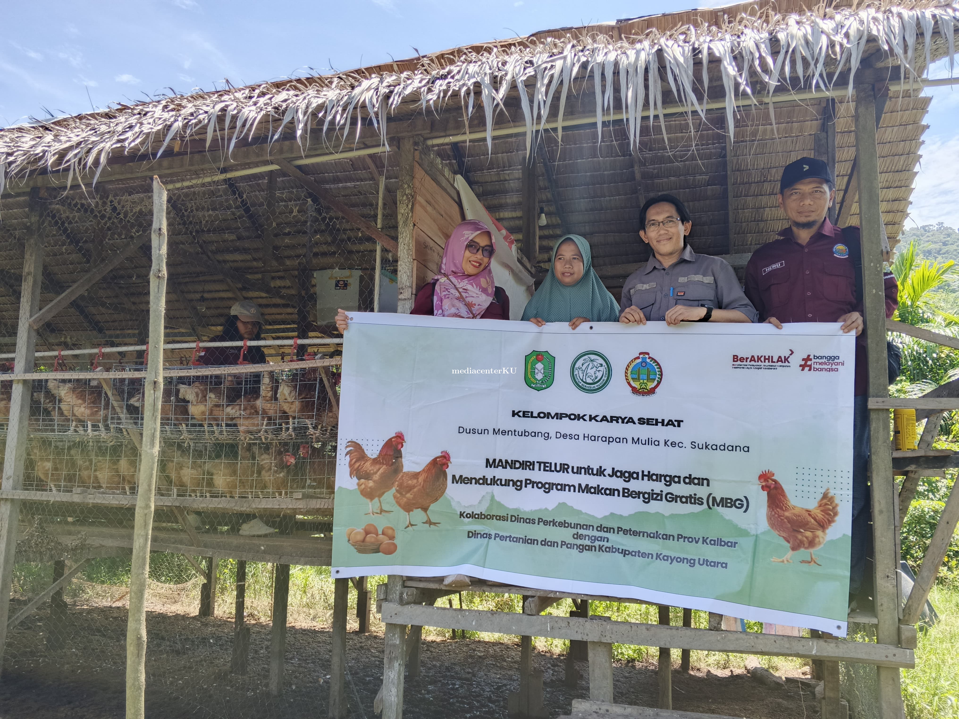 Kayong Utara Kembangkan Budidaya Ayam Petelur untuk Kendalikan Inflasi dan Dukung Program Makan Bergizi Gratis